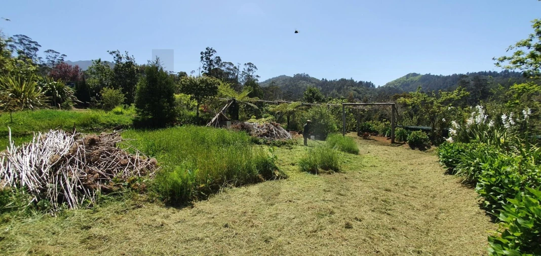 Terreno para Venda em Arco de São Jorge Foto 3