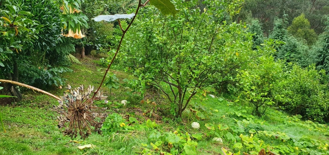 Terreno para Venda em Arco de São Jorge Foto 20