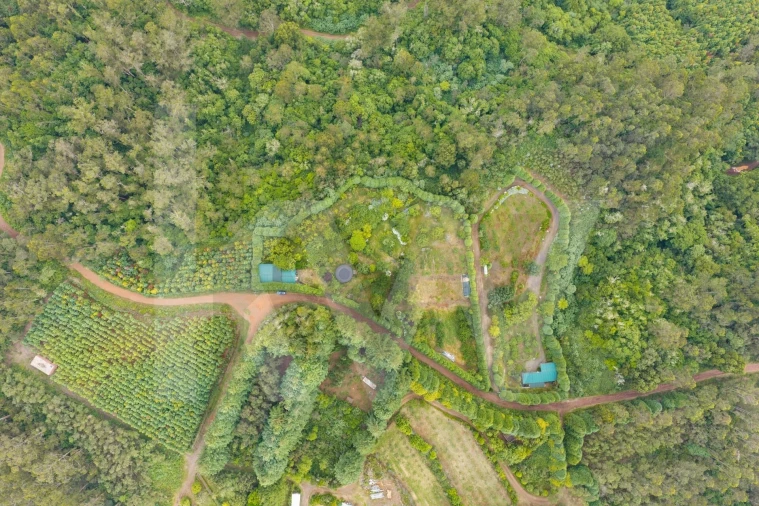 Terreno para Venda em Arco de São Jorge Foto 21