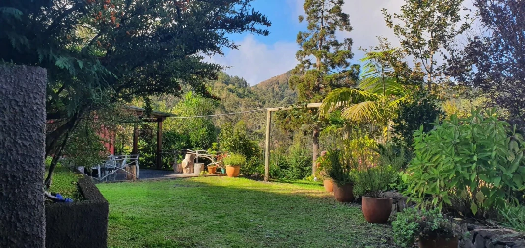 Terreno para Venda em Arco de São Jorge Foto 17