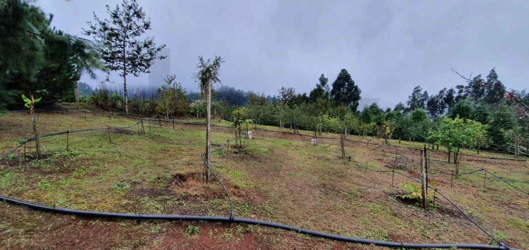 Terreno para Venda em Arco de São Jorge Foto 19