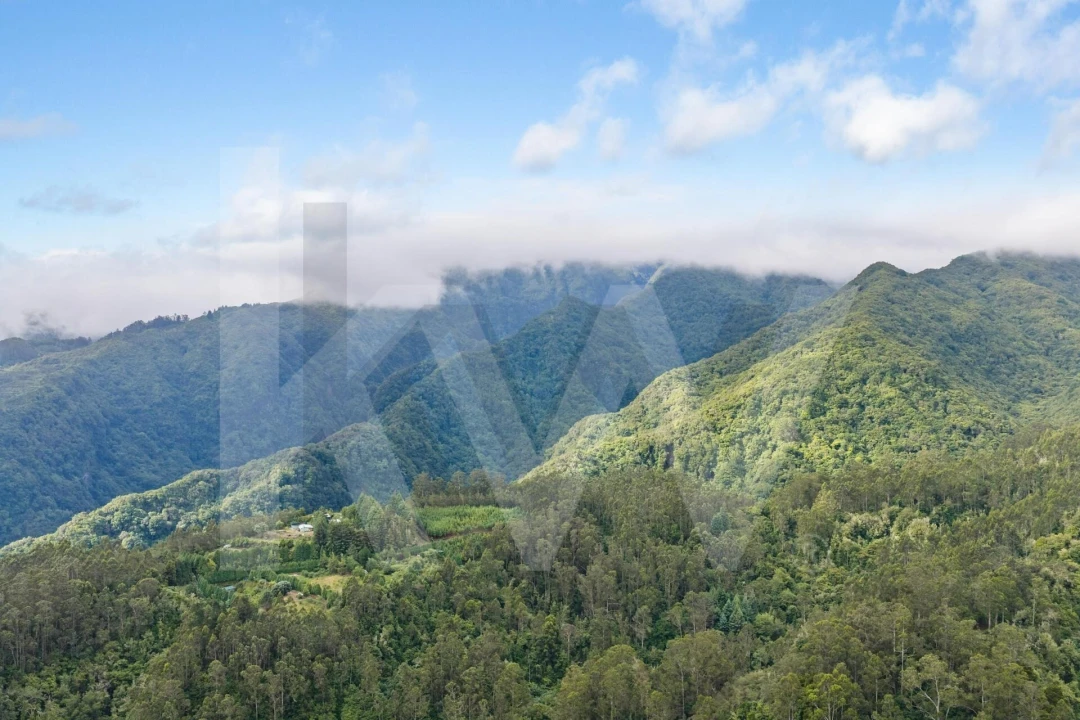 Terreno para Venda em Arco de São Jorge Foto 27