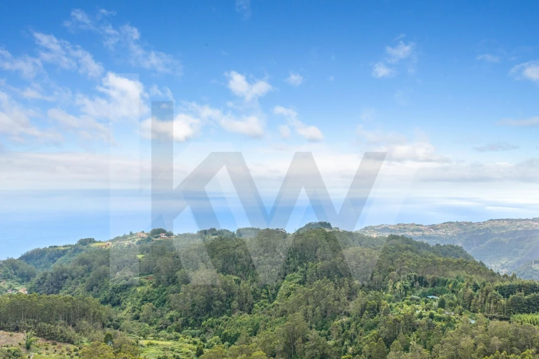Terreno para Venda em Arco de São Jorge Foto 25