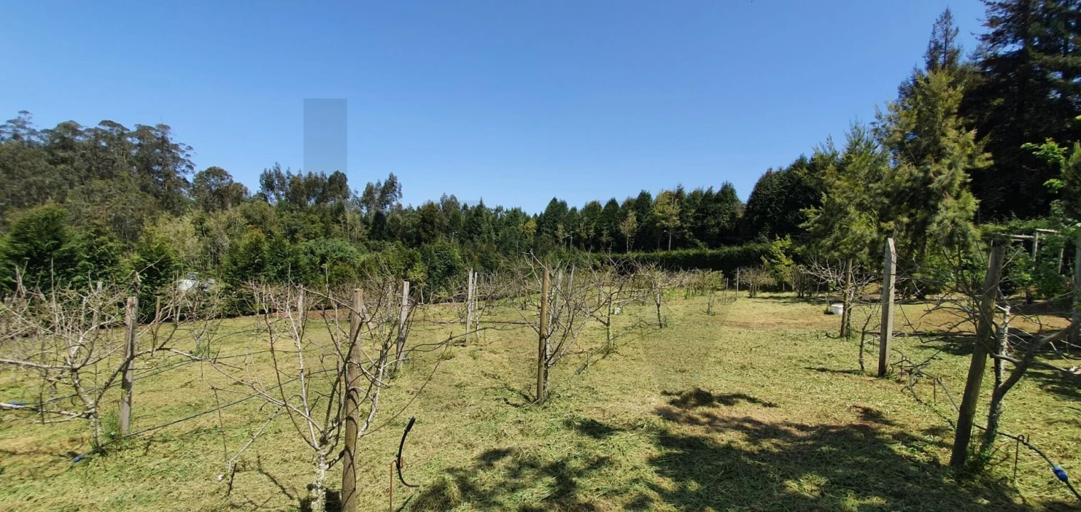 Terreno para Venda em Arco de São Jorge Foto 4