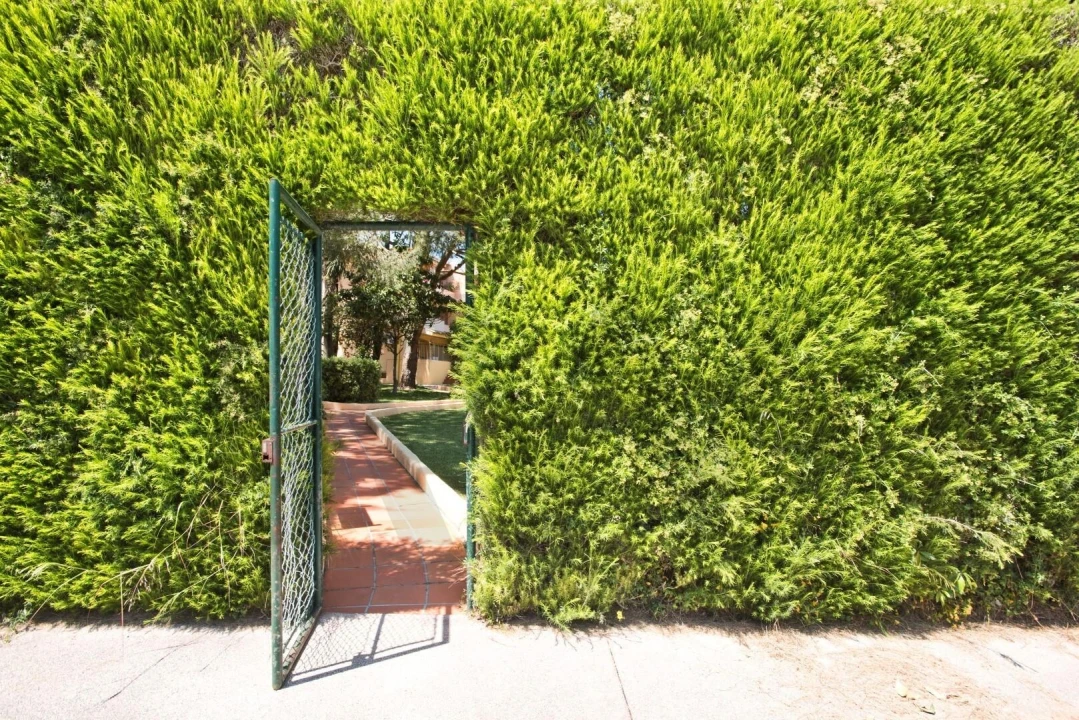 Apartamento T3 para Arrendamento em Cascais e Estoril Foto 23