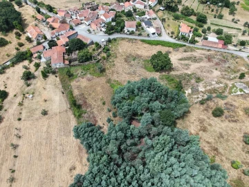 Quinta T4 para Venda em Ovoa e Vimieiro