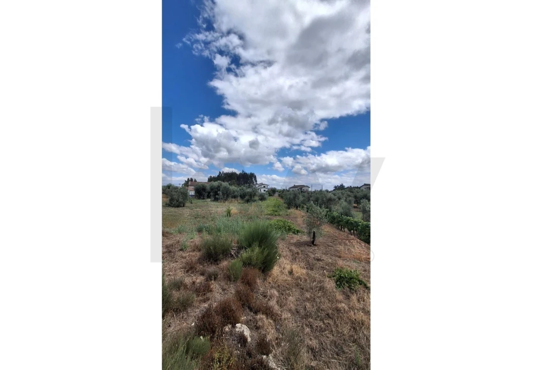 Terreno para Venda em Lajeosa do Dão Foto 7