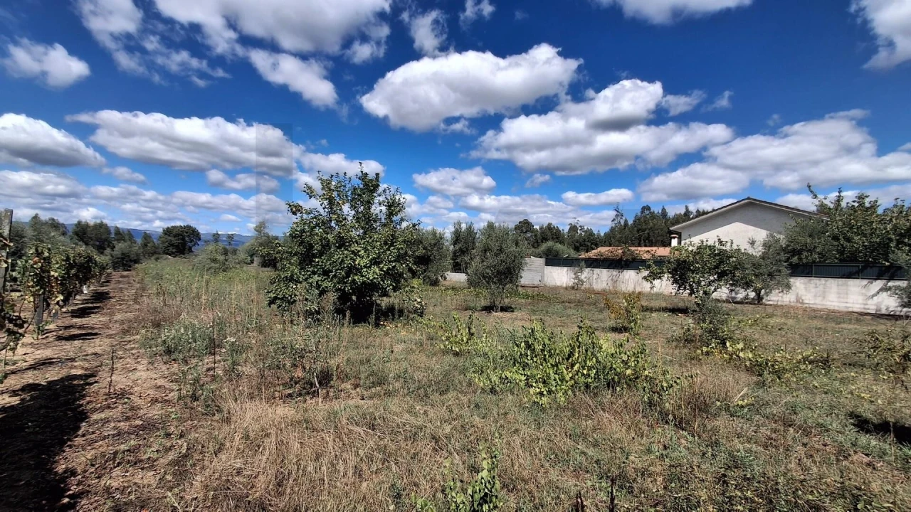 Terreno para Venda em Lajeosa do Dão Foto 3
