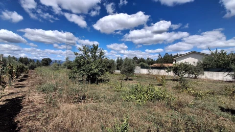 Terreno para Venda em Lajeosa do Dão