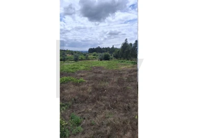 Terreno para Venda em Lajeosa do Dão