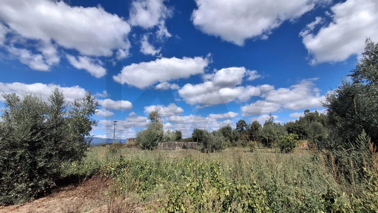 Terreno para Venda em Lajeosa do Dão Foto 6
