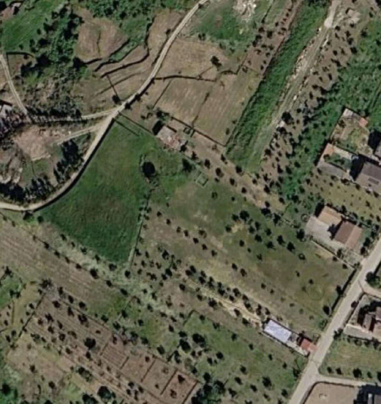 Terreno para Venda em Lajeosa do Dão Foto 8