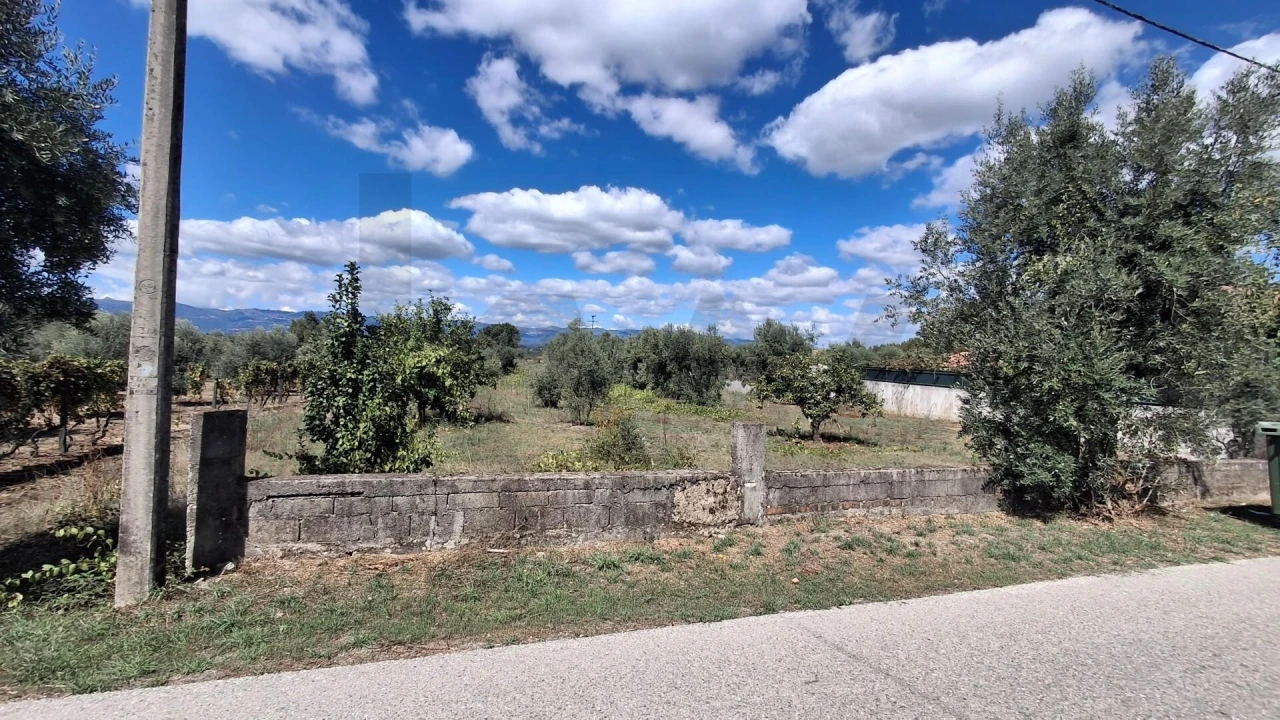 Terreno para Venda em Lajeosa do Dão Foto 2
