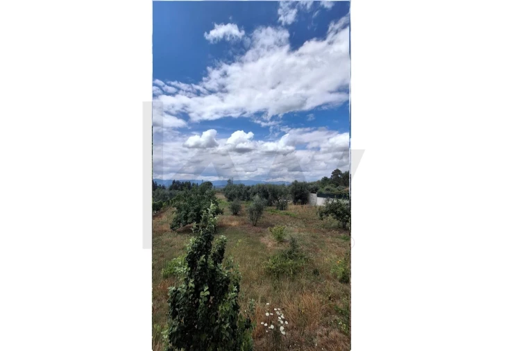 Terreno para Venda em Lajeosa do Dão Foto 2