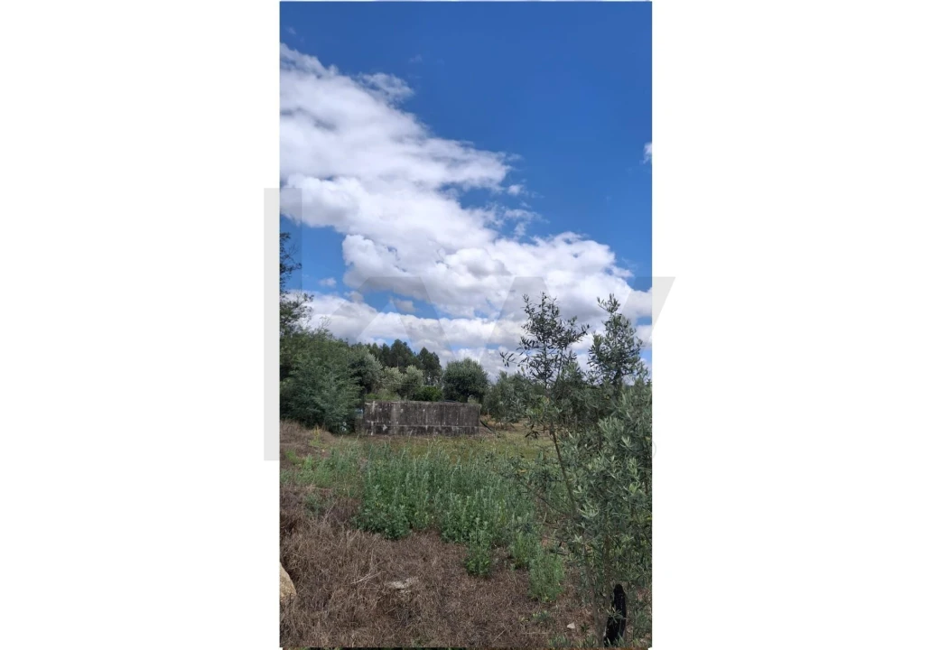 Terreno para Venda em Lajeosa do Dão Foto 1