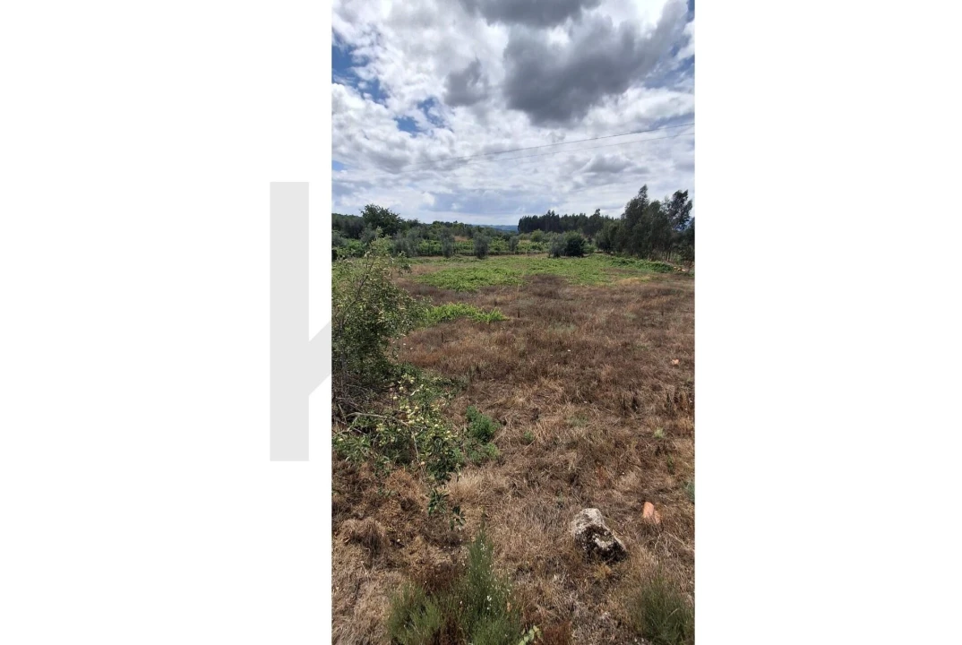 Terreno para Venda em Lajeosa do Dão Foto 6