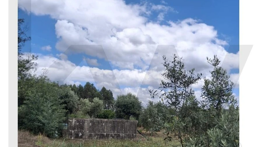 Terreno para Venda em Lajeosa do Dão