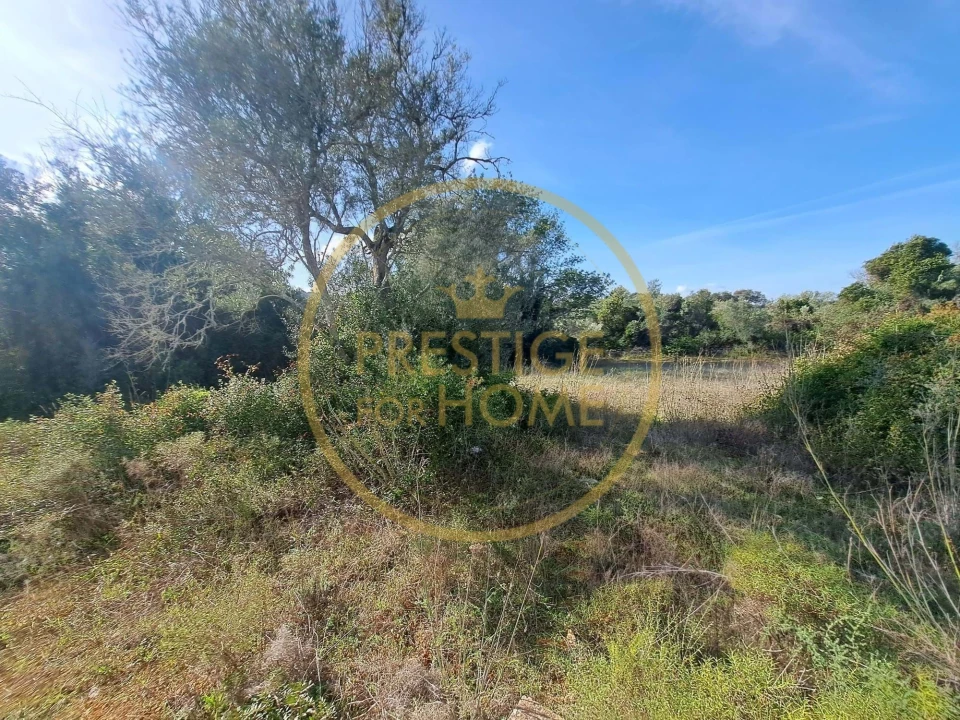 Armazém para Venda em Santa Barbara de Nexe Foto 11