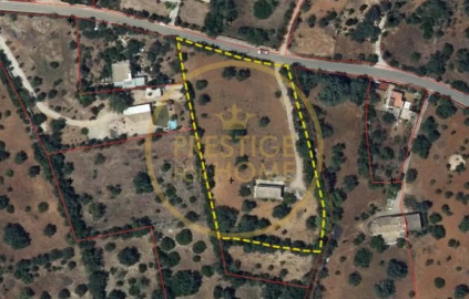Armazém para Venda em Santa Barbara de Nexe