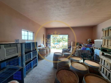 Armazém para Venda em Santa Barbara de Nexe