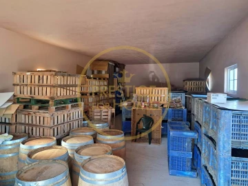 Armazém para Venda em Santa Barbara de Nexe