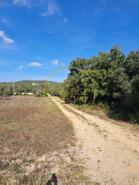 Armazém para Venda em Santa Barbara de Nexe