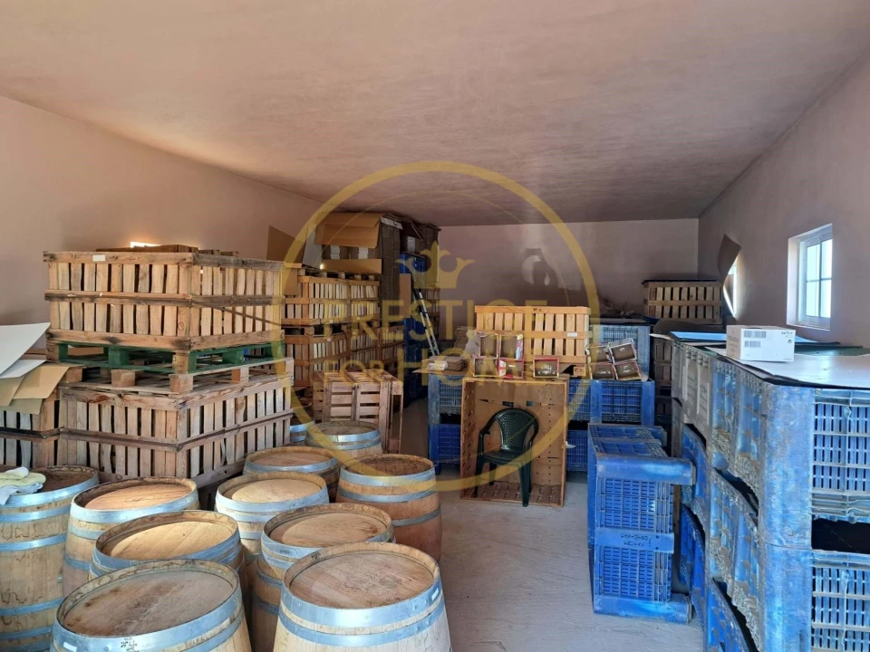 Armazém para Venda em Santa Barbara de Nexe Foto 6