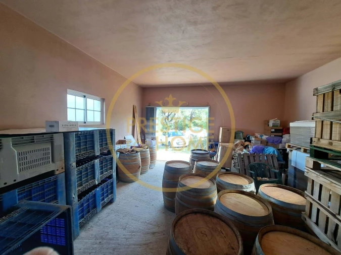 Armazém para Venda em Santa Barbara de Nexe Foto 3