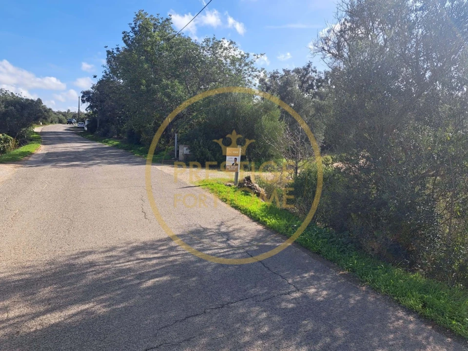 Armazém para Venda em Santa Barbara de Nexe Foto 8