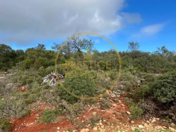 Terreno para Venda em Loule (São Sebastião)