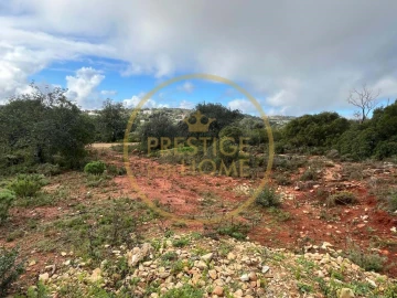 Terreno para Venda em Loule (São Sebastião)