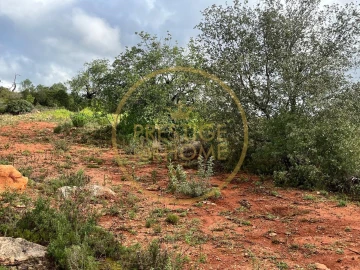 Terreno para Venda em Loule (São Sebastião)