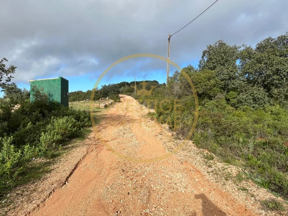 Terreno para Venda em Loule (São Sebastião) Foto 8