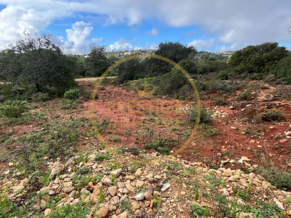 Terreno para Venda em Loule (São Sebastião) Foto 3