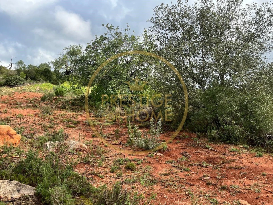 Terreno para Venda em Loule (São Sebastião) Foto 11