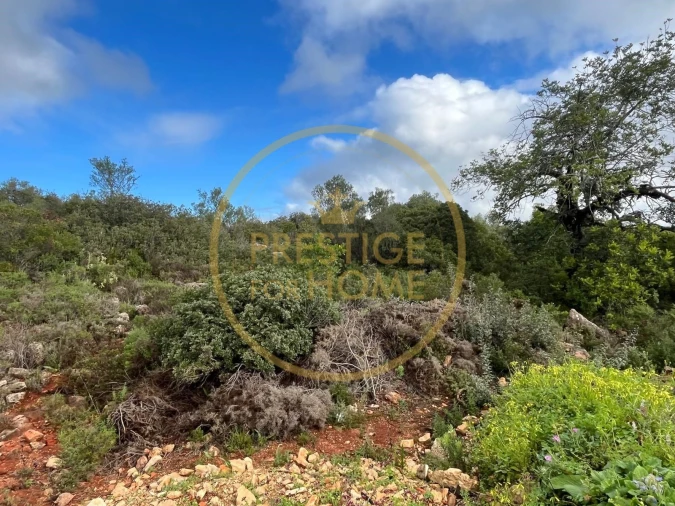 Terreno para Venda em Loule (São Sebastião) Foto 7