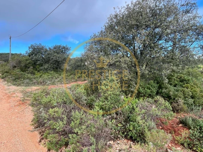 Terreno para Venda em Loule (São Sebastião) Foto 2