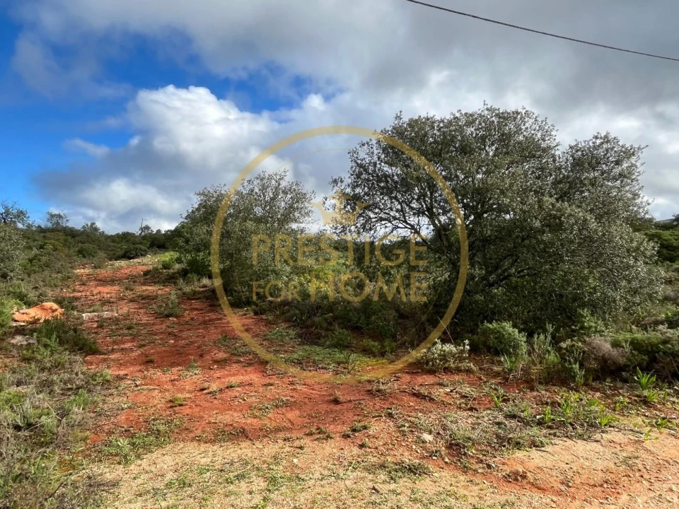 Terreno para Venda em Loule (São Sebastião) Foto 9