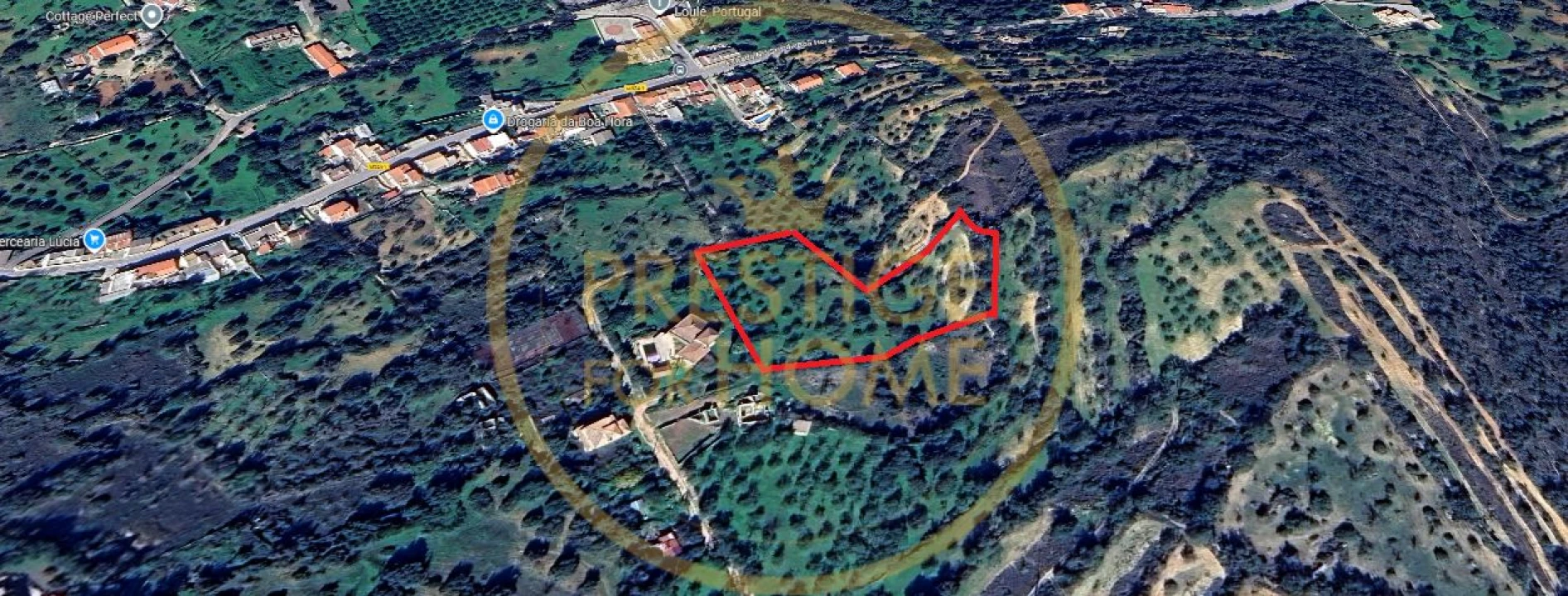Terreno para Venda em Loule (São Sebastião) Foto 4