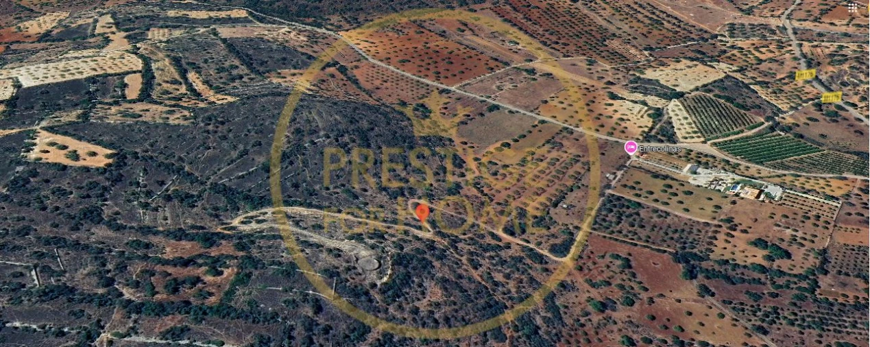 Terreno para Venda em Paderne Foto 2