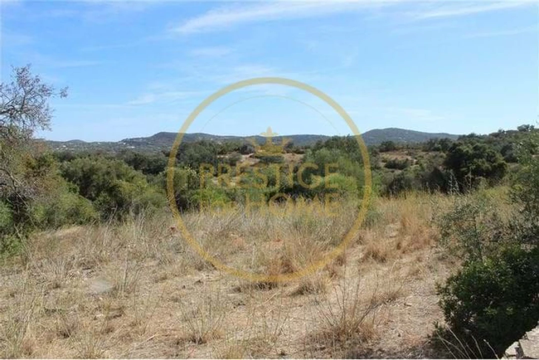 Terreno para Venda em Loule (São Clemente) Foto 3