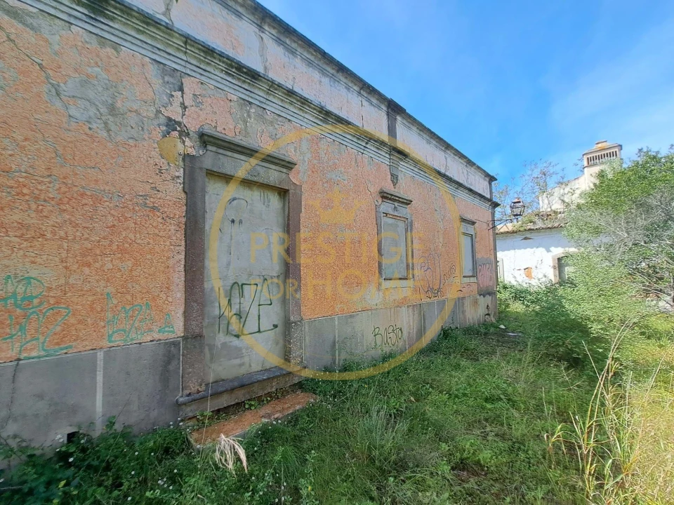 Terreno para Venda em Loule (São Clemente) Foto 15