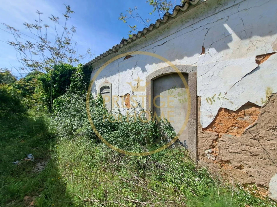 Terreno para Venda em Loule (São Clemente) Foto 9