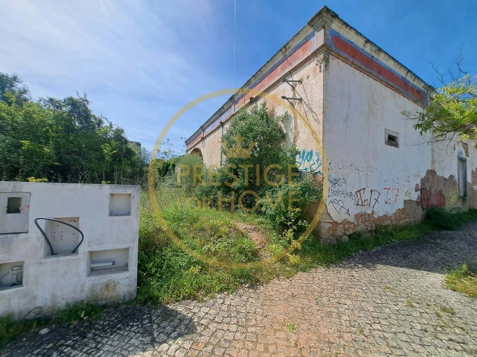 Terreno para Venda em Loule (São Clemente) Foto 7