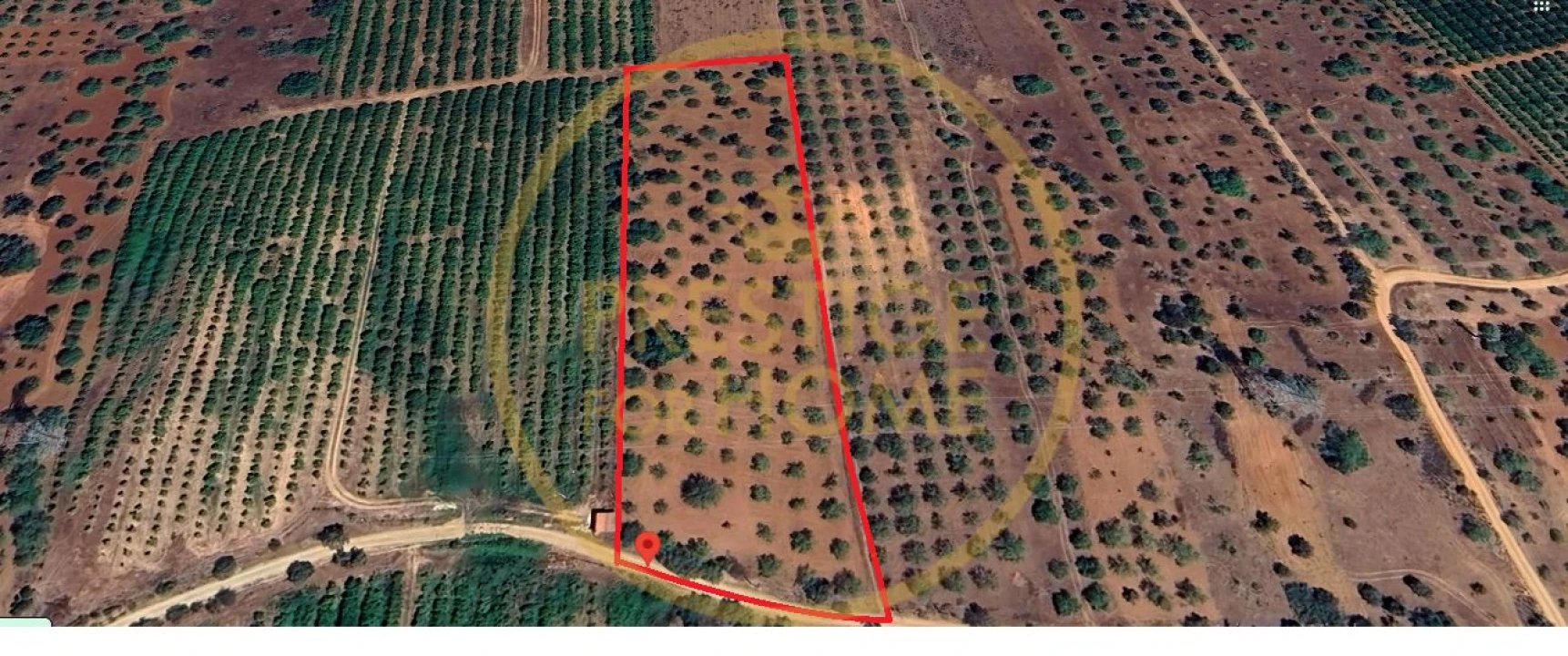 Terreno para Venda em Paderne Foto 2