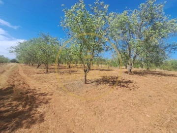 Terreno para Venda em Paderne