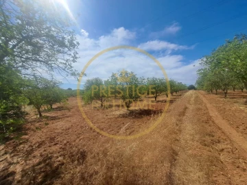 Terreno para Venda em Paderne