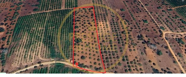 Terreno para Venda em Paderne