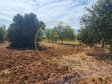 Terreno para Venda em Paderne