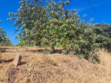 Terreno para Venda em Paderne